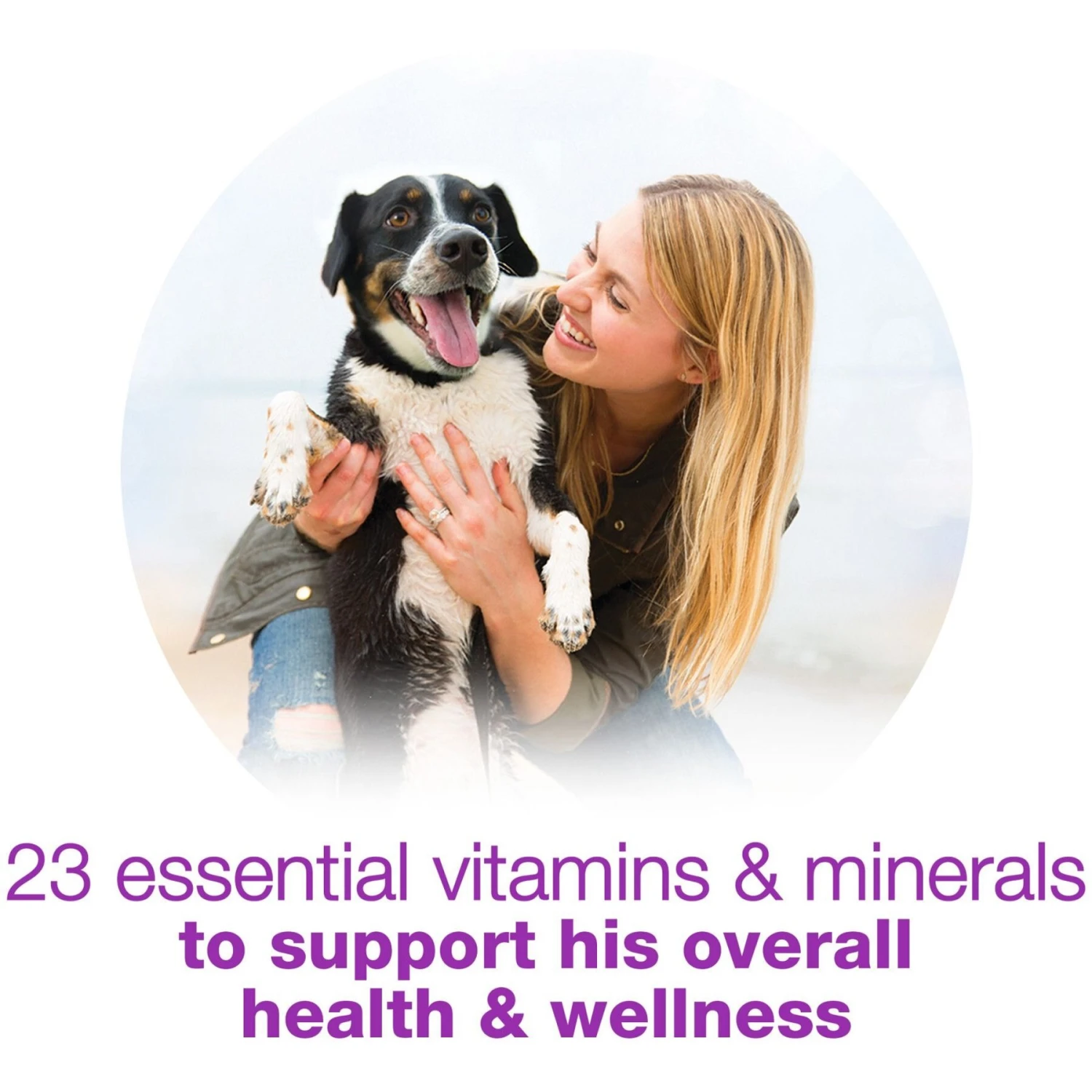 Purina Beneful Chopped Blends With Turkey, Sweet Potatoes, Brown Rice & Spinach Wet Dog Food 9 Purina Beneful Chopped Blends With Turkey, Sweet Potatoes, Brown Rice & Spinach Wet Dog Food - Image 7