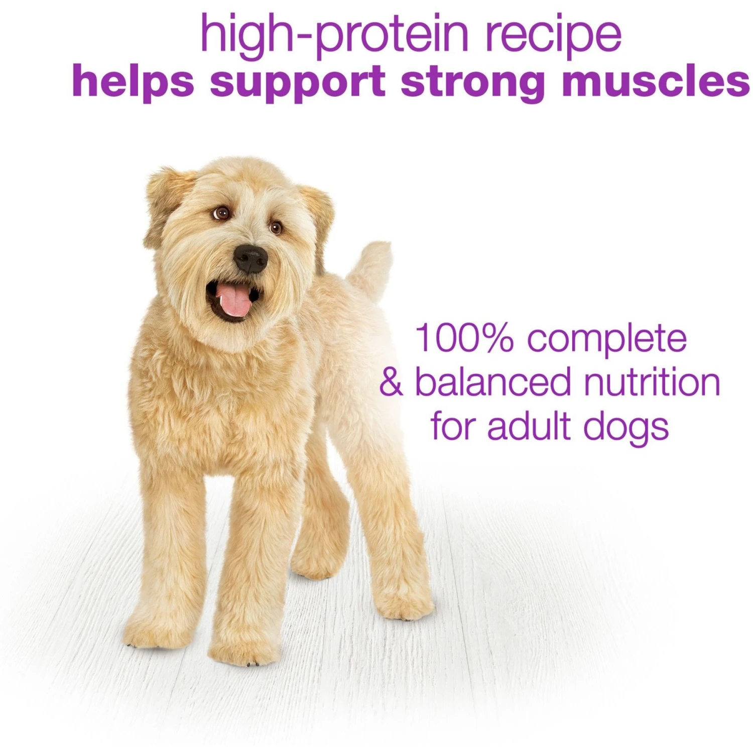 Purina Beneful Chopped Blends With Turkey, Sweet Potatoes, Brown Rice & Spinach Wet Dog Food 10 Purina Beneful Chopped Blends With Turkey, Sweet Potatoes, Brown Rice & Spinach Wet Dog Food - Image 8