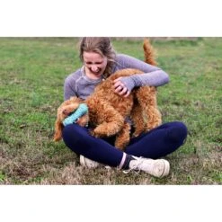 Playology Puppy Teething Bone Peanut Butter Dog Toy, Blue, Large -Blue Buffalo Shop 1022366 PT5. AC SS1800 V1700851288