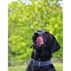 Pet Qwerks Incredibubbles For Dogs -Blue Buffalo Shop 102318 PT4. AC SS1800 V1589901520