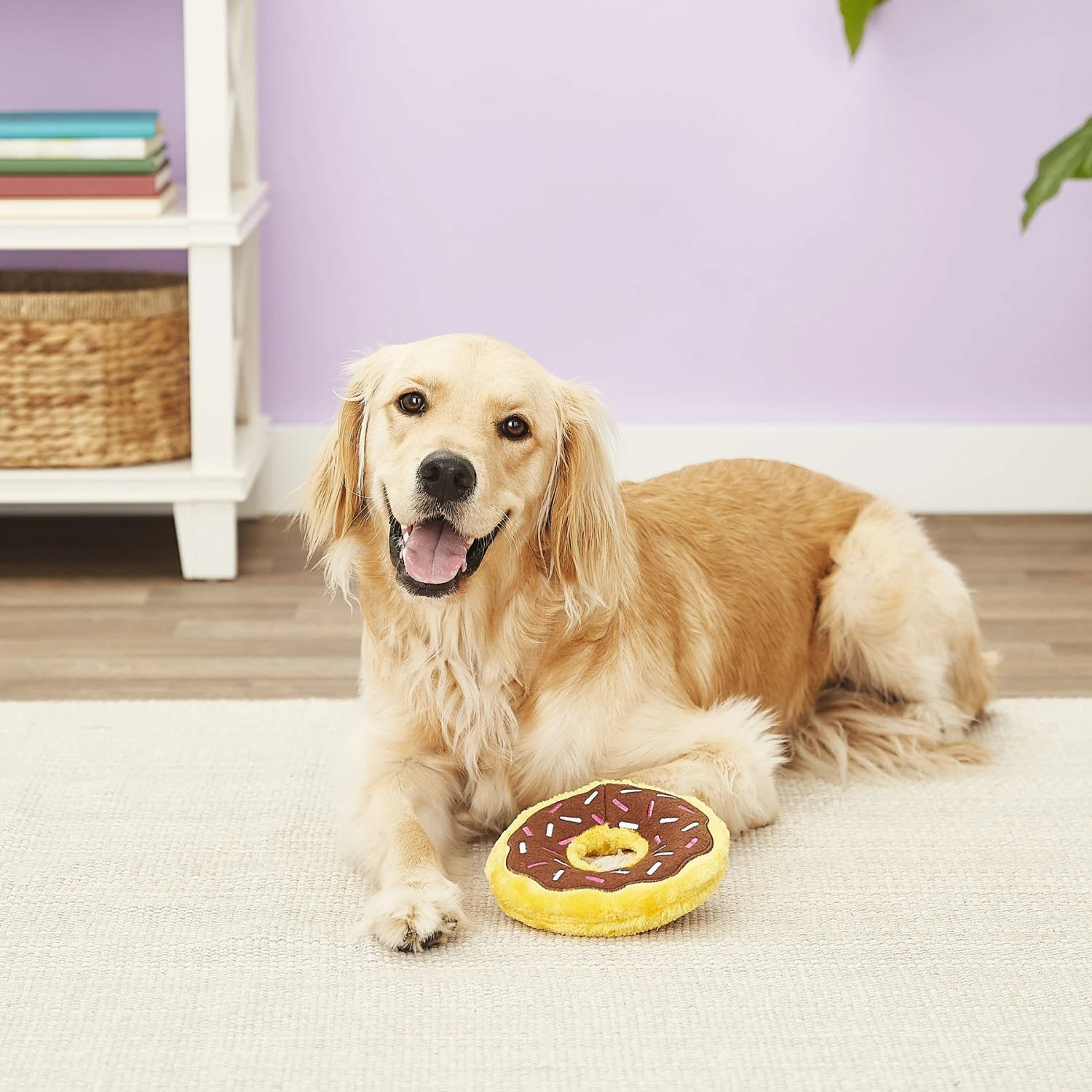 ZippyPaws Donutz Squeaky Plush No Stuffing Dog Toy 9 ZippyPaws Donutz Squeaky Plush No Stuffing Dog Toy - Image 7