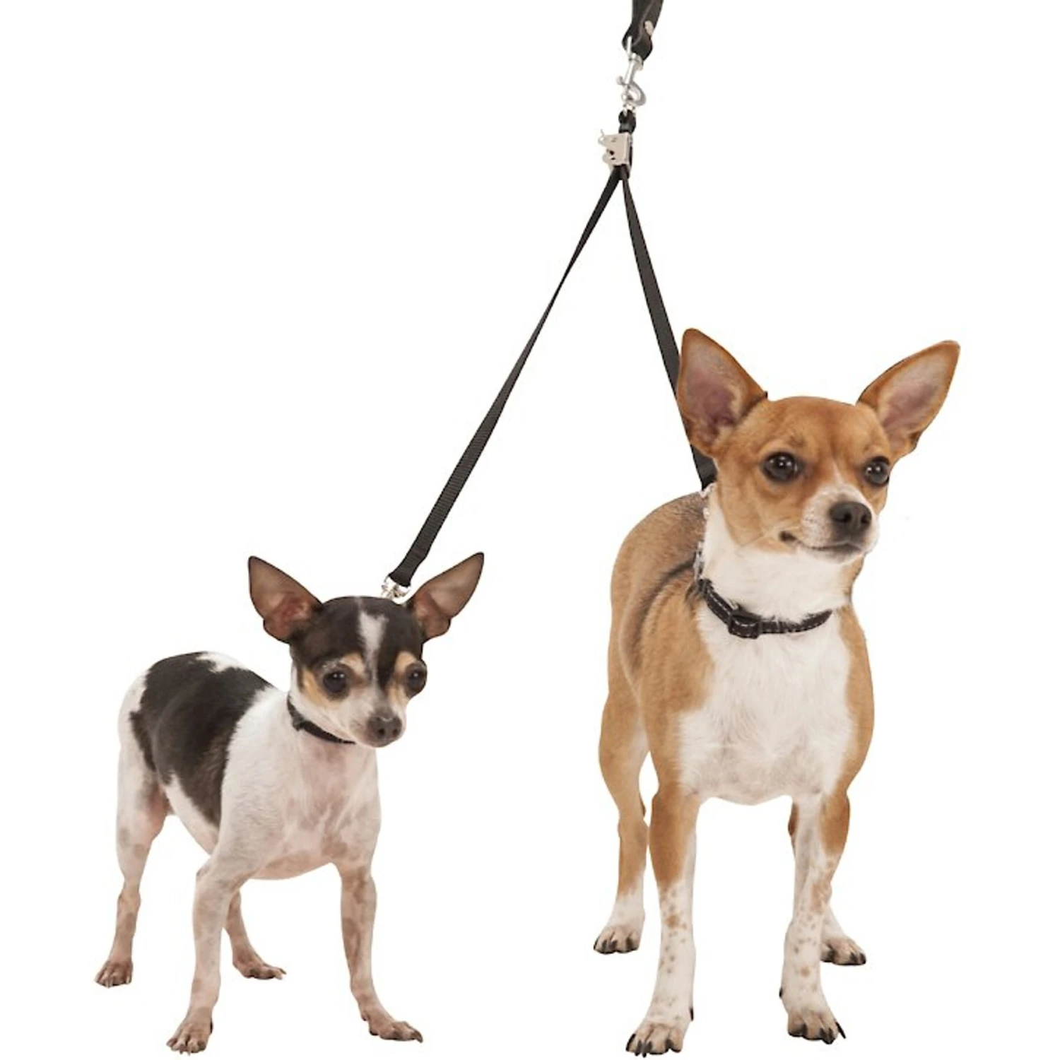 Sporn Double-Dog Coupler 4 Sporn Double-Dog Coupler - Image 2