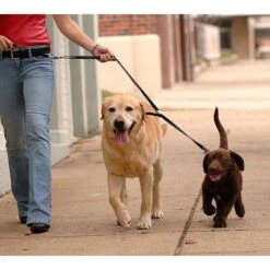 Sporn Nylon Double Dog Leash 9 Sporn Nylon Double Dog Leash -Blue Buffalo Shop 104317 PT2. AC SS1800 V1522775674