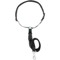 Caldwell's Original Running Leash