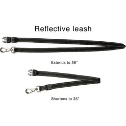 Caldwell's Original Running Leash -Blue Buffalo Shop 106446 PT3. AC SS1800 V1515434785