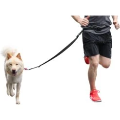 Caldwell's Original Running Leash -Blue Buffalo Shop 106446 PT5. AC SS1800 V1476899267