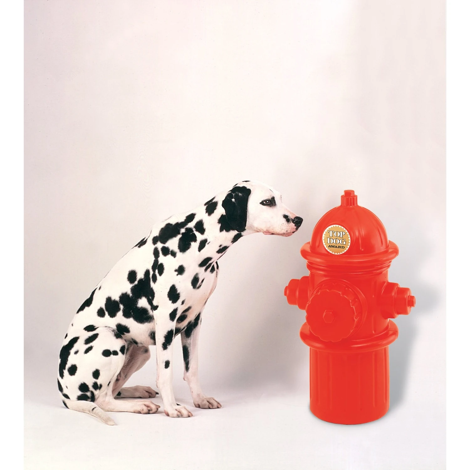 Ht-pet Plastic Fire Hydrant Storage Container 4 Ht-pet Plastic Fire Hydrant Storage Container - Image 2