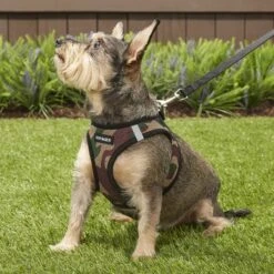 Best Pet Supplies Voyager Army Base Mesh Dog Harness 17 Best Pet Supplies Voyager Army Base Mesh Dog Harness -Blue Buffalo Shop 107042 PT6. AC SS1800 V1575478418