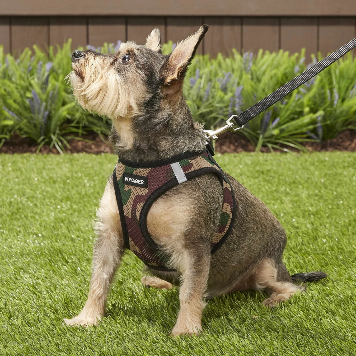 Best Pet Supplies Voyager Army Base Mesh Dog Harness 9 Best Pet Supplies Voyager Army Base Mesh Dog Harness - Image 7