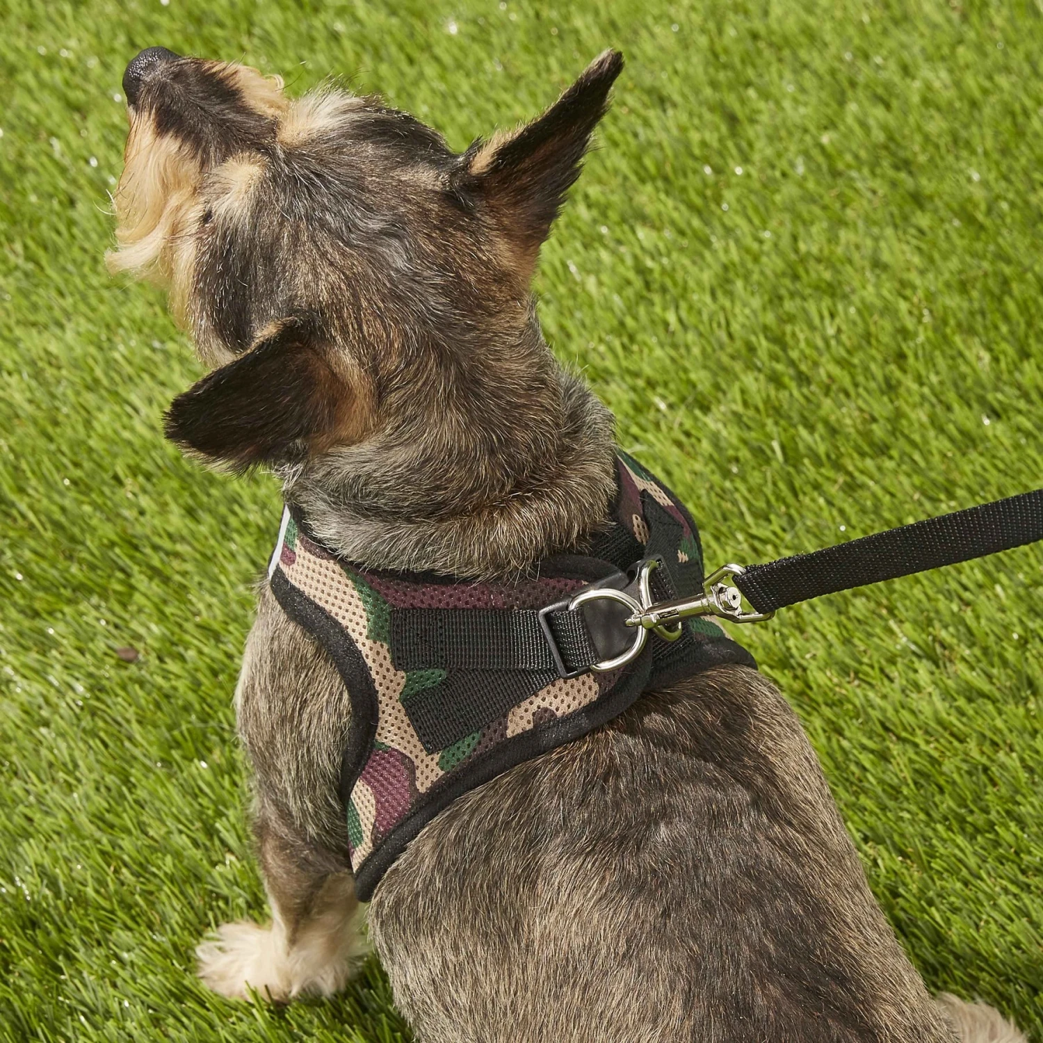 Best Pet Supplies Voyager Army Base Mesh Dog Harness 10 Best Pet Supplies Voyager Army Base Mesh Dog Harness - Image 8