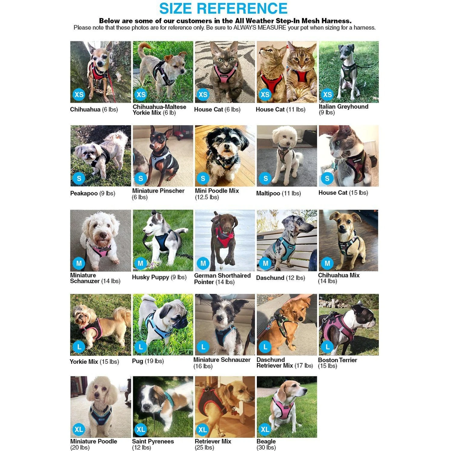 Best Pet Supplies Voyager Army Base Mesh Dog Harness 11 Best Pet Supplies Voyager Army Base Mesh Dog Harness - Image 9