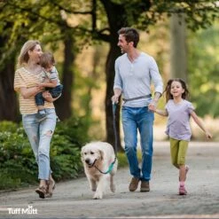 Tuff Mutt Hands-Free Bungee Leash -Blue Buffalo Shop 109113 PT4. AC SS1800 V1566939125