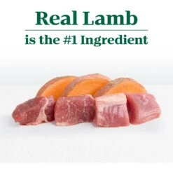 Nutro Limited Ingredient Diet Sensitive Support With Real Lamb & Sweet Potato Grain-Free Adult Dry Dog Food 18 Nutro Limited Ingredient Diet Sensitive Support With Real Lamb & Sweet Potato Grain-Free Adult Dry Dog Food -Blue Buffalo Shop 109395 PT7. AC SS1800 V1702666831