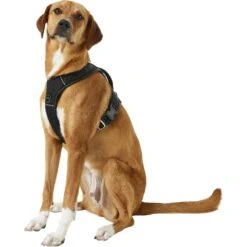 Mighty Paw Padded Sports Reflective No Pull Dog Harness -Blue Buffalo Shop 109956 PT2. AC SS1800 V1575413930