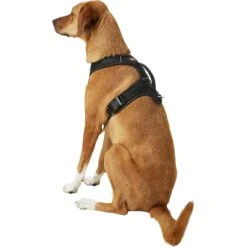 Mighty Paw Padded Sports Reflective No Pull Dog Harness -Blue Buffalo Shop 109956 PT3. AC SS1800 V1575418490