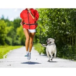 Hertzko Nylon Reflective Bungee Hands-Free Running Dog Leash 13 Hertzko Nylon Reflective Bungee Hands-Free Running Dog Leash -Blue Buffalo Shop 110134 PT5. AC SS1800 V1535131641