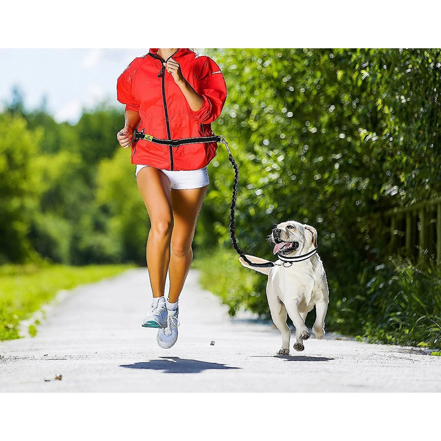 Hertzko Nylon Reflective Bungee Hands-Free Running Dog Leash 8 Hertzko Nylon Reflective Bungee Hands-Free Running Dog Leash - Image 6