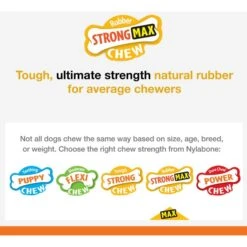 Nylabone Flavor Frenzy Strong Chew Toy Dog Toy Bacon & Cheeseburger -Blue Buffalo Shop 110401 PT2. AC SS1800 V1696516100