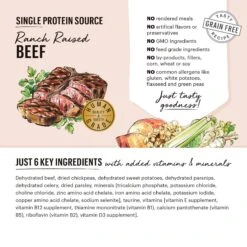 The Honest Kitchen Limited Ingredient Diet Beef Recipe Grain-Free Dehydrated Dog Food -Blue Buffalo Shop 111038 PT2. AC SS1800 V1659908118