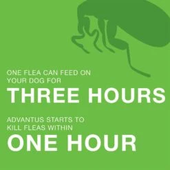 Advantus Flea Oral Treatment For Dogs, 23-110 Lbs 12 Advantus Flea Oral Treatment For Dogs, 23-110 Lbs -Blue Buffalo Shop 112350 PT5. AC SS1800 V1561554160