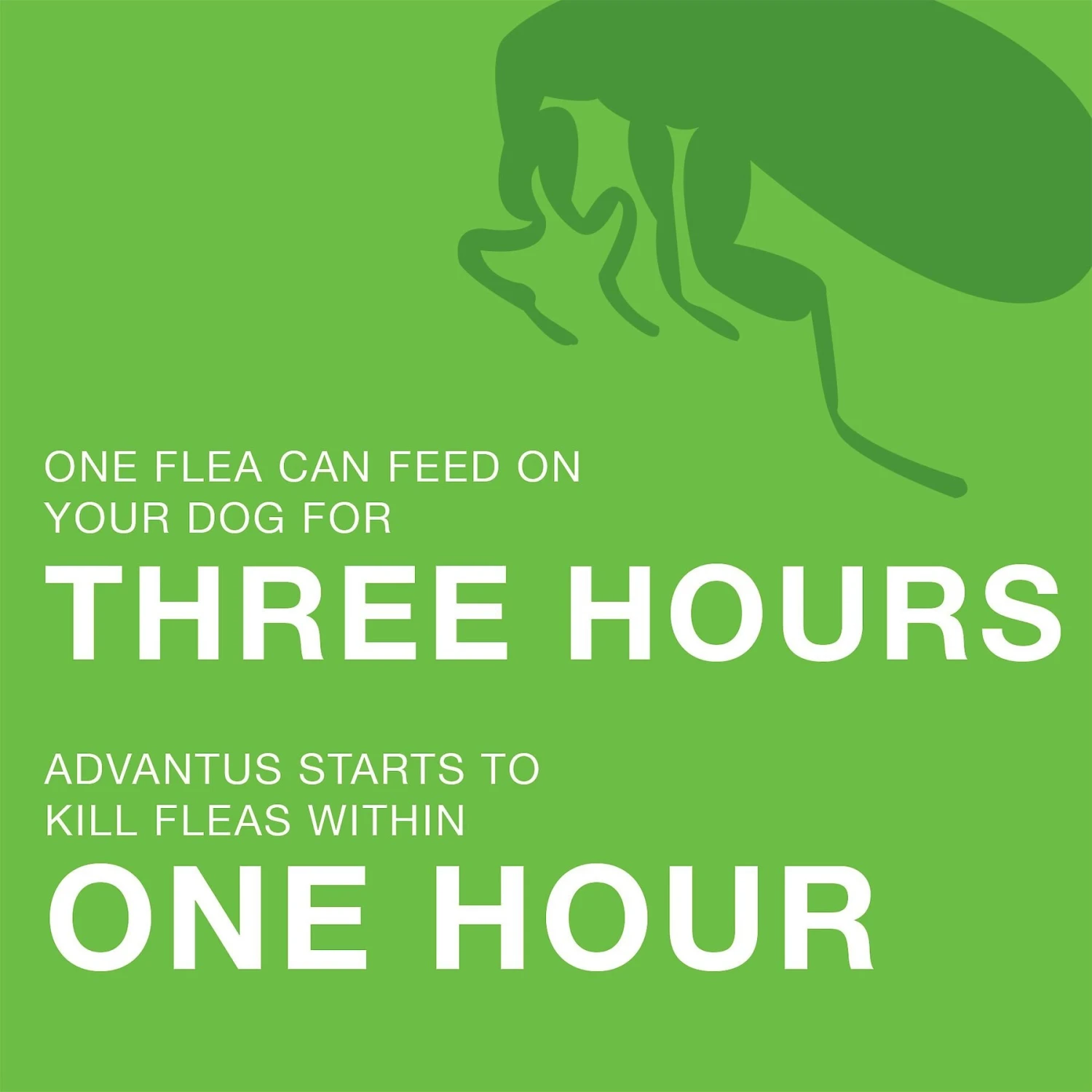 Advantus Flea Oral Treatment For Dogs, 23-110 Lbs 7 Advantus Flea Oral Treatment For Dogs, 23-110 Lbs - Image 5