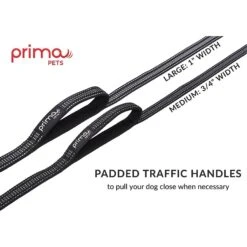 Prima Pets Dual-Handle Reflective Dog Leash -Blue Buffalo Shop 113502 PT3. AC SS1800 V1488492495