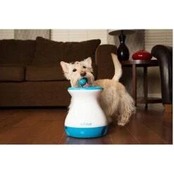 IFetch Tennis Balls 14 IFetch Tennis Balls -Blue Buffalo Shop 115168 PT6. AC SS1800 V1490133396