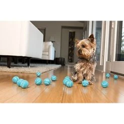 IFetch Tennis Balls 15 IFetch Tennis Balls -Blue Buffalo Shop 115168 PT7. AC SS1800 V1490133397