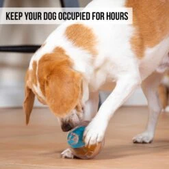 Pet Zone IQ Treat Dispenser Ball Dog Toy -Blue Buffalo Shop 115632 Pt3. AC SS1800 V1583771890