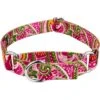 Country Brook Design Paisley Polyester Martingale Dog Collar
