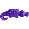 ARM & HAMMER PRODUCTS Ora Play Denta-Saurus Mint Tough Dog Chew Toy 1 ARM & HAMMER PRODUCTS Ora Play Denta-Saurus Mint Tough Dog Chew Toy -Blue Buffalo Shop 118071 MAIN. AC SS1800 V1492197683