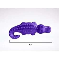 ARM & HAMMER PRODUCTS Ora Play Denta-Saurus Mint Tough Dog Chew Toy -Blue Buffalo Shop 118071 PT3. AC SS1800 V1492197645