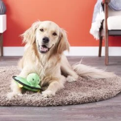 ZippyPaws Floaterz Turtle Dog Toy 9 ZippyPaws Floaterz Turtle Dog Toy -Blue Buffalo Shop 118640 PT4. AC SS1800 V1531242168