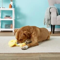 Doggles Plush Bottle Duck Dog Toy 8 Doggles Plush Bottle Duck Dog Toy -Blue Buffalo Shop 118762 PT2. AC SS1800 V1554126457