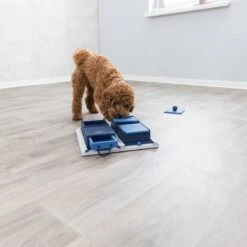 TRIXIE Activity Poker Box Activity Strategy Game Dog Toy, Level 2 -Blue Buffalo Shop 118931 PT2. AC SS1800 V1686328989