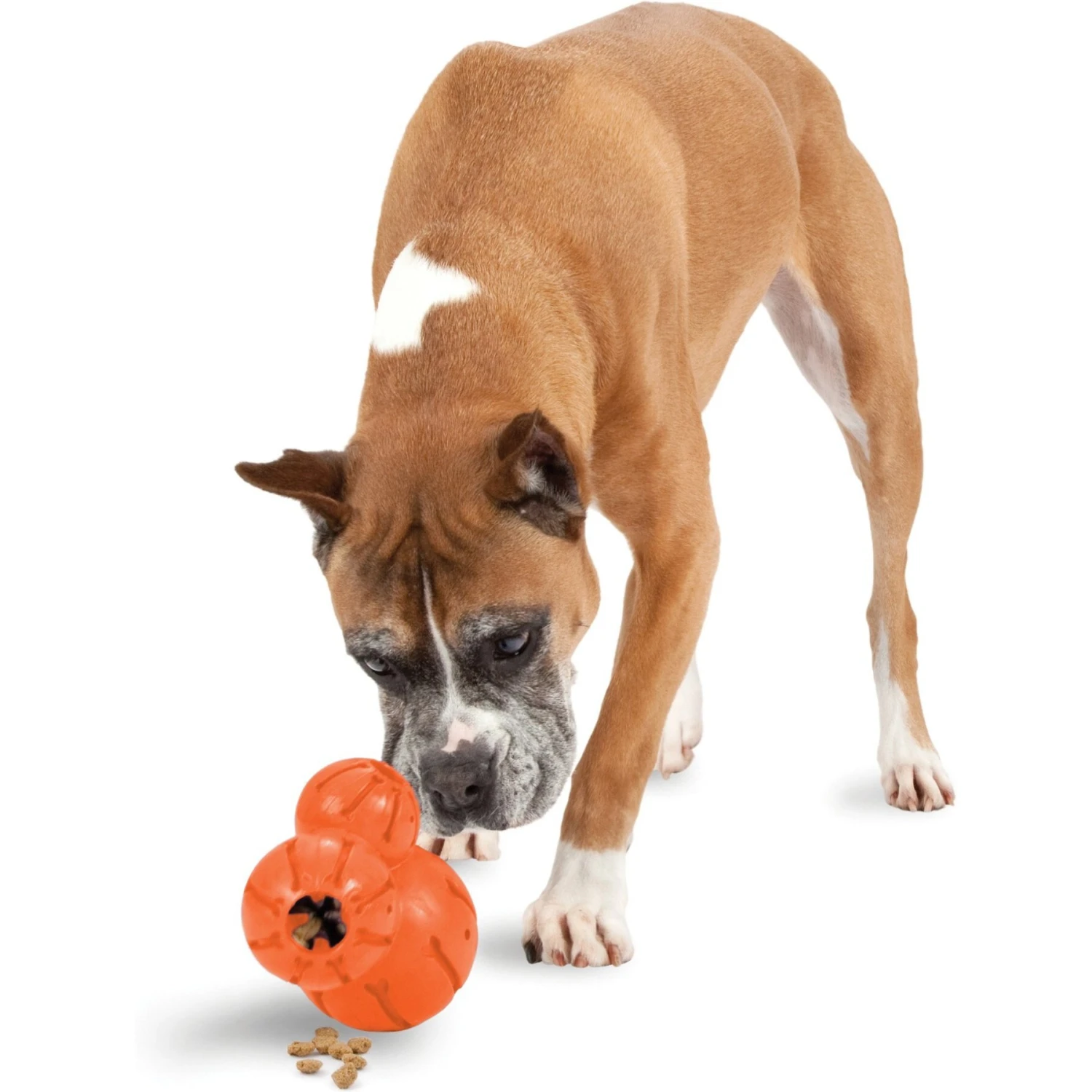 PetSafe Busy Buddy Barnacle Treat Dispenser Dog Toy 3 PetSafe Busy Buddy Barnacle Treat Dispenser Dog Toy