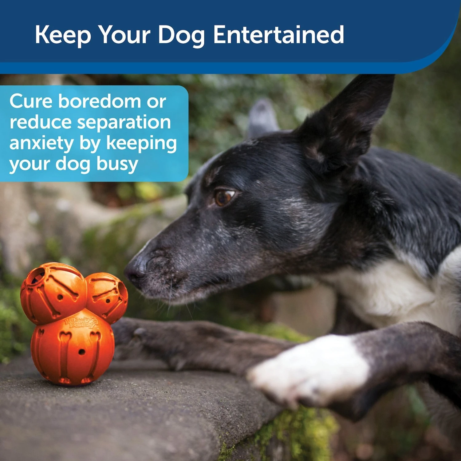 PetSafe Busy Buddy Barnacle Treat Dispenser Dog Toy 6 PetSafe Busy Buddy Barnacle Treat Dispenser Dog Toy - Image 4