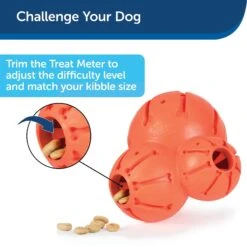 PetSafe Busy Buddy Barnacle Treat Dispenser Dog Toy 18 PetSafe Busy Buddy Barnacle Treat Dispenser Dog Toy -Blue Buffalo Shop 121351 PT7. AC SS1800 V1599830757