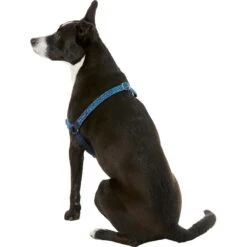PetSafe Bling Easy Walk Nylon No Pull Dog Harness -Blue Buffalo Shop 121417 PT3. AC SS1800 V1569532922