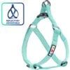 Pawtitas Nylon Reflective Step In Back Clip Dog Harness -Blue Buffalo Shop 121740 MAIN. AC SS1800 V1680803979