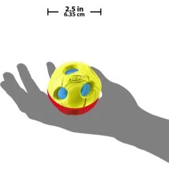 Nerf Dog Light Up Bash Ball Dog Toy -Blue Buffalo Shop 121862 PT2. AC SS1800 V1493316682