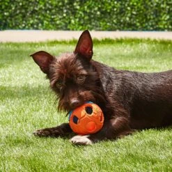 Nerf Dog Light Up Bash Ball Dog Toy, Medium 13 Nerf Dog Light Up Bash Ball Dog Toy, Medium -Blue Buffalo Shop 121864 PT5. AC SS1800 V1531558325