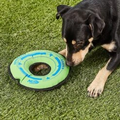 Nerf Dog Tuff Tug Cyclone Ring Dog Toy -Blue Buffalo Shop 121915 PT4. AC SS1800 V1530921436