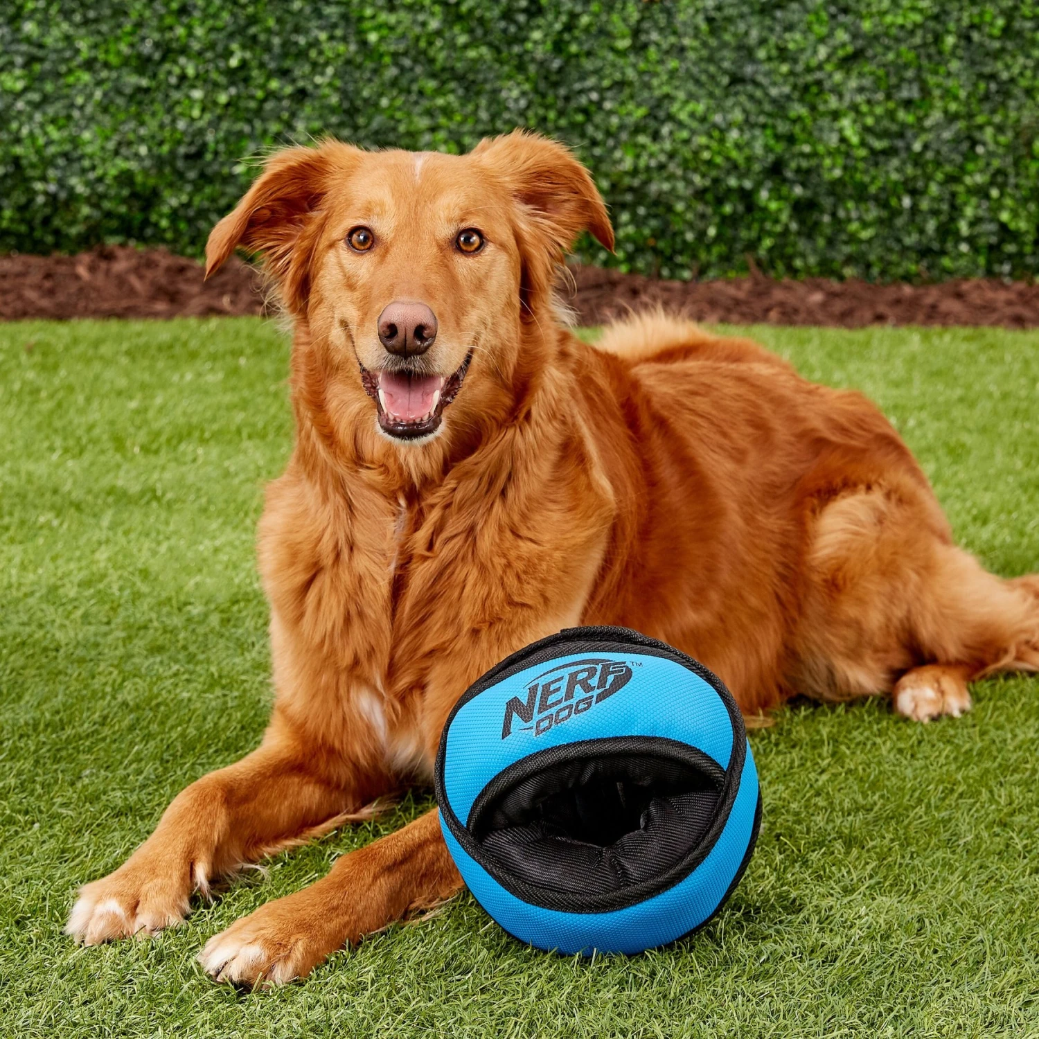 Nerf Dog Tuff Tug X-Ring Dog Toy 7 Nerf Dog Tuff Tug X-Ring Dog Toy - Image 5
