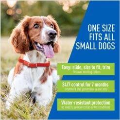 Adams® Adams Flea & Tick Collar For Dogs, Extra Small/Toy & Small Breeds -Blue Buffalo Shop 122959 PT2. AC SS1800 V1696533206