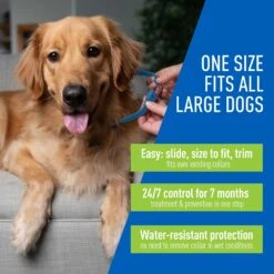 Adams® Adams Flea & Tick Collar For Dogs, Medium, Large, & Giant Breeds, 1 Collar (7-mos. Supply) -Blue Buffalo Shop 122961 PT2. AC SS1800 V1696520805