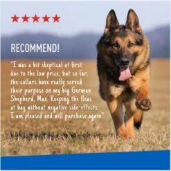 Adams® Adams Flea & Tick Collar For Dogs, Medium, Large, & Giant Breeds, 1 Collar (7-mos. Supply) -Blue Buffalo Shop 122961 PT6. AC SS1800 V1696533770