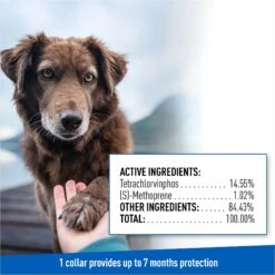 Adams® Adams Flea & Tick Collar For Dogs, Medium, Large, & Giant Breeds, 1 Collar (7-mos. Supply) -Blue Buffalo Shop 122961 PT7. AC SS1800 V1696533768