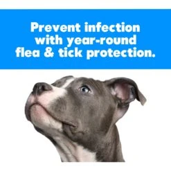 Zodiac Flea & Tick Spot Treatment For Dogs, 16-30 Lbs -Blue Buffalo Shop 123084 PT5. AC SS1800 V1677269545