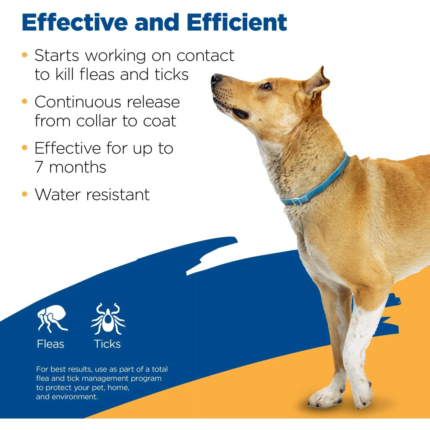 Zodiac Flea & Tick Collar For Dogs, Medium, Large & Giant Breeds 4 Zodiac Flea & Tick Collar For Dogs, Medium, Large & Giant Breeds - Image 2